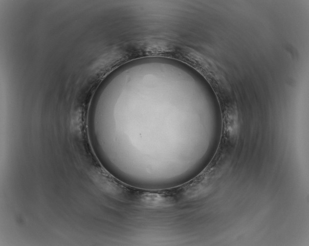 X0000112500519200908171312