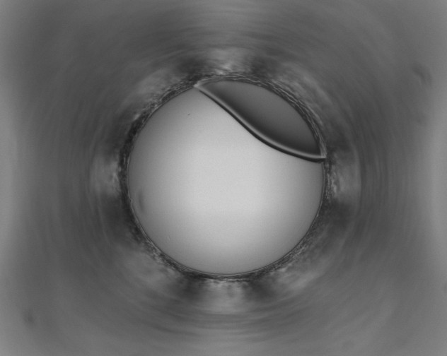 X0000112500520200908171312