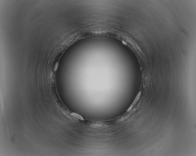 X0000112500521200908171312