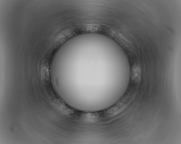 X0000112500522200908171312