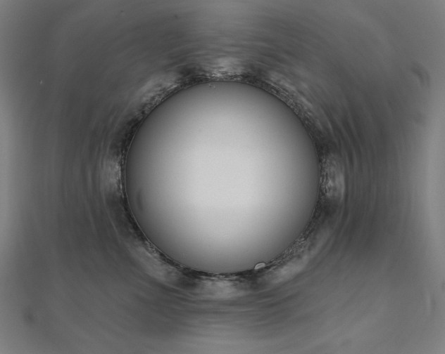 X0000112500523200908171312