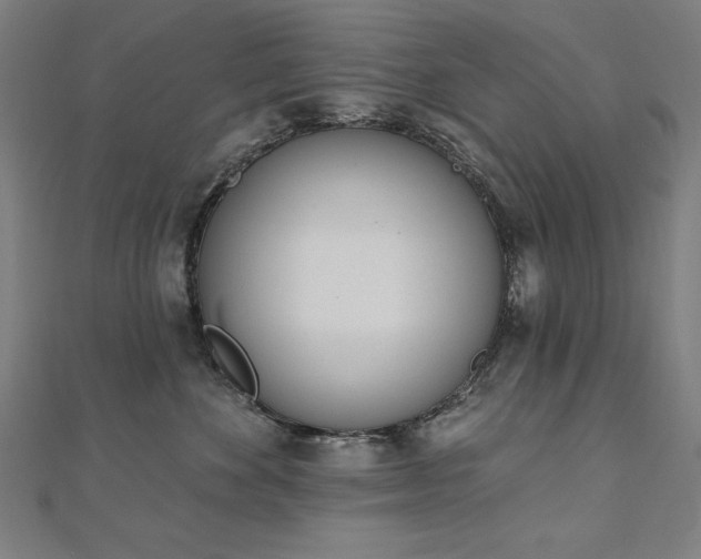 X0000112500524200908171312