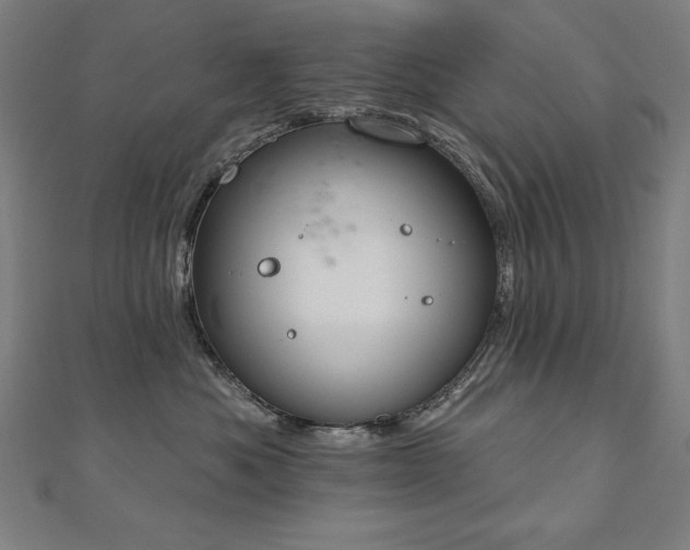 X0000112500525200908171312