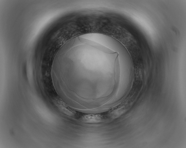 X0000112500526200908171312