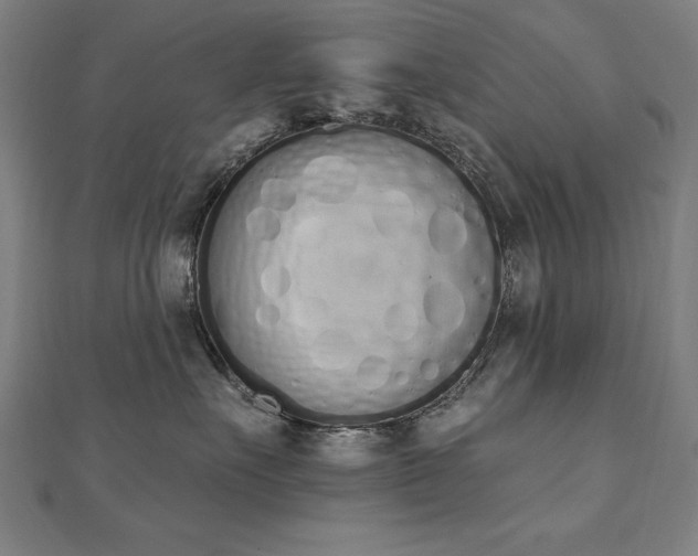 X0000112500527200908171312