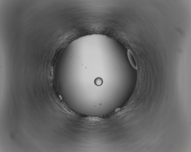 X0000112500528200908171312