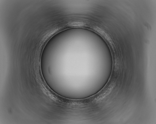 X0000112500529200908171311