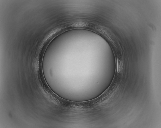 X0000112500531200908171311