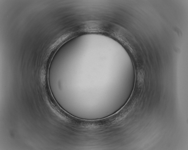 X0000112500533200908171311