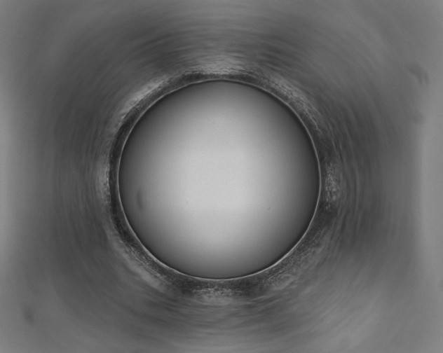 X0000112500535200908171311