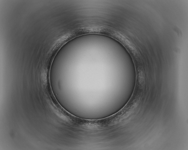 X0000112500537200908171311