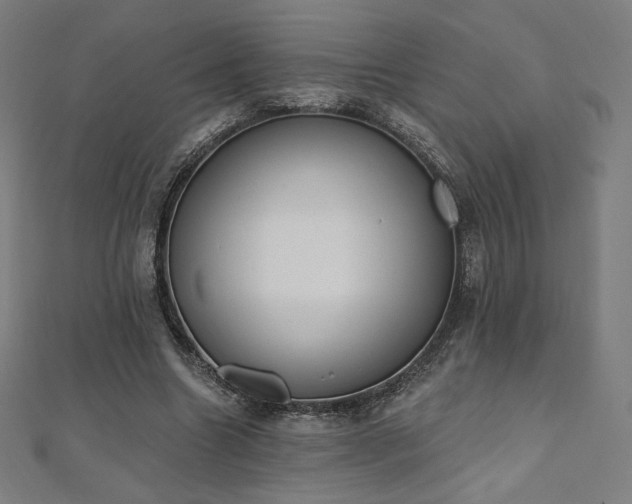 X0000112500538200908171311