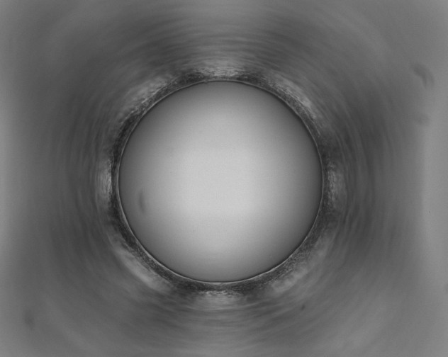 X0000112500541200908171311