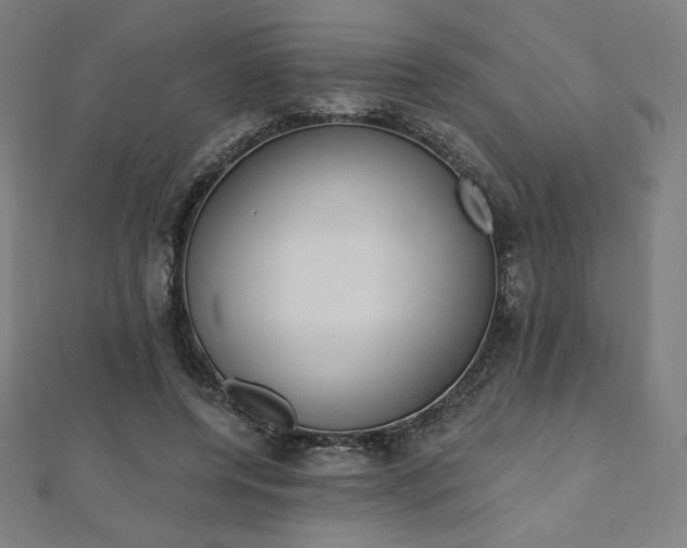 X0000112500544200908171311