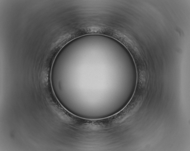 X0000112500545200908171311