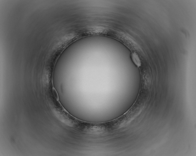 X0000112500546200908171311