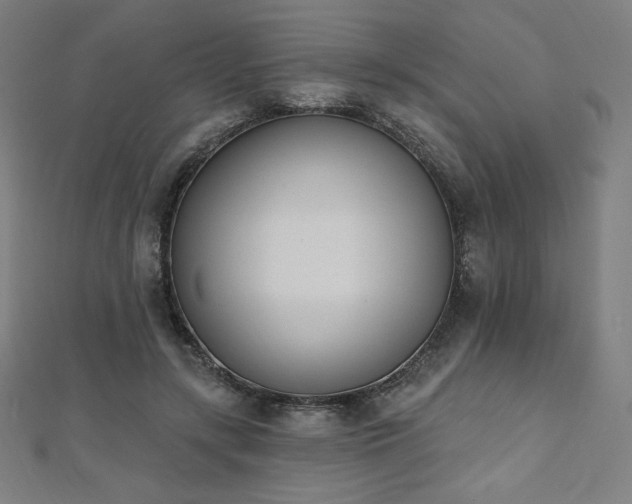 X0000112500547200908171311