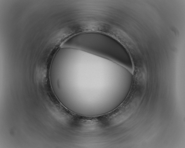 X0000112500548200908171311