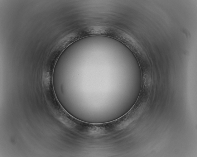 X0000112500549200908171312