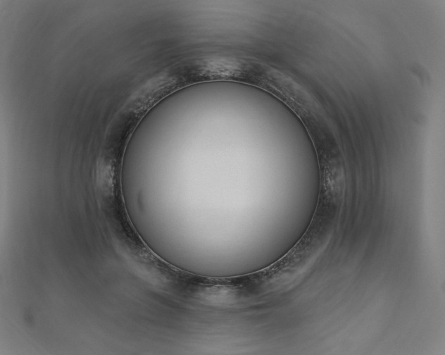 X0000112500551200908171312