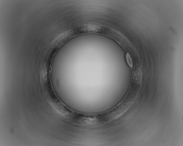 X0000112500552200908171312