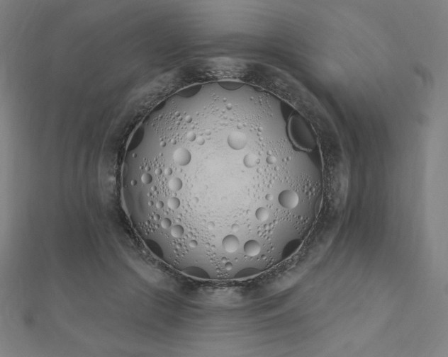 X0000112500553200908171312