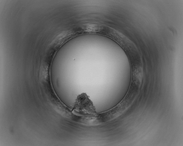 X0000112500554200908171312