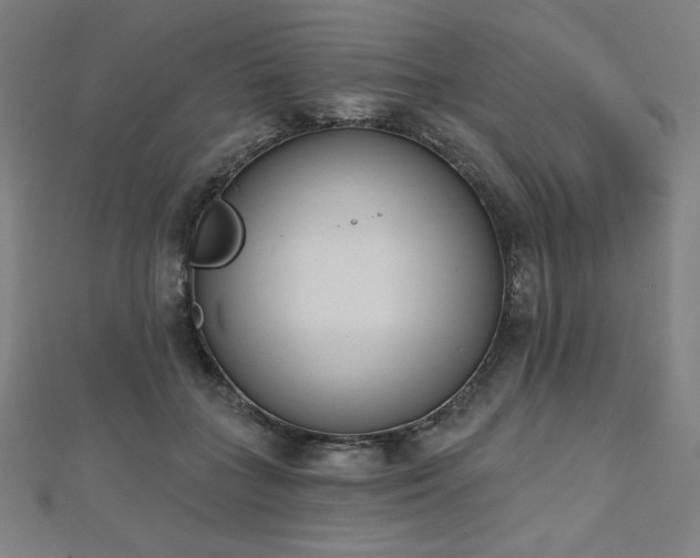 X0000112500555200908171312