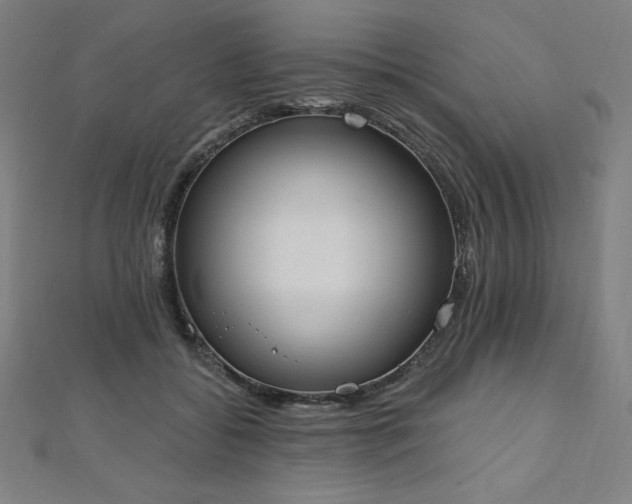 X0000112500556200908171312