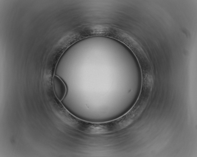 X0000112500557200908171312