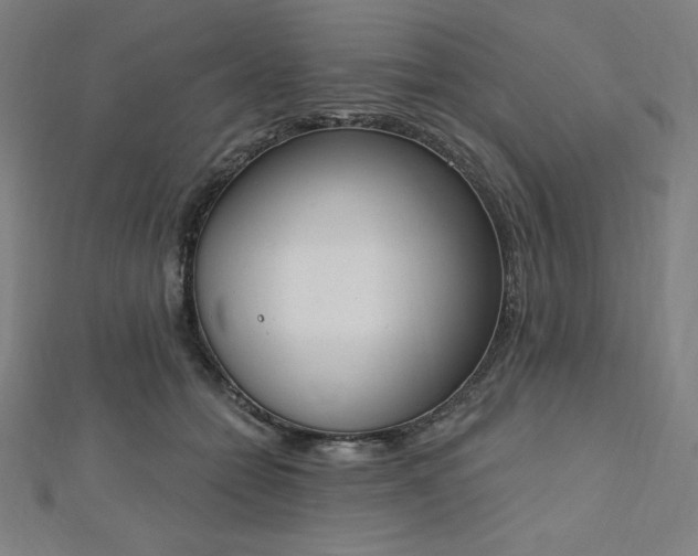 X0000112500558200908171312