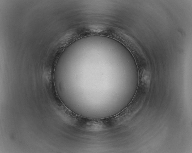 X0000112500559200908171312