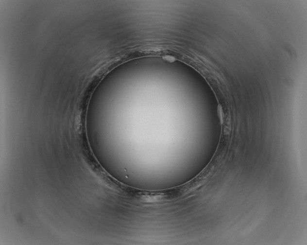 X0000112500560200908171312