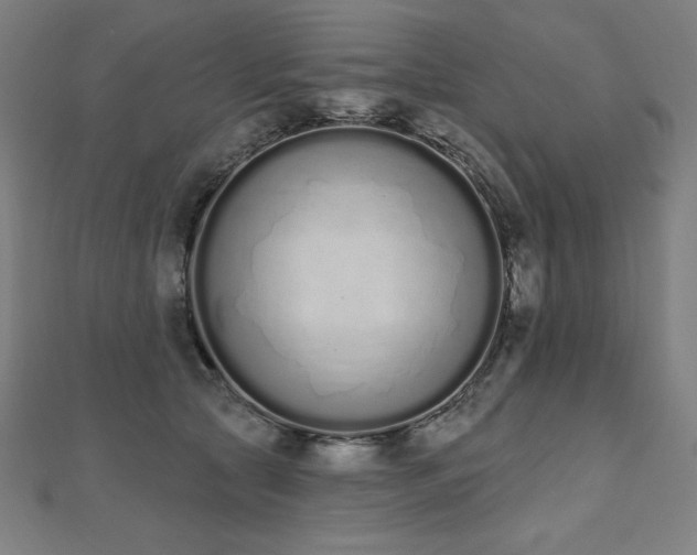 X0000112500561200908171312