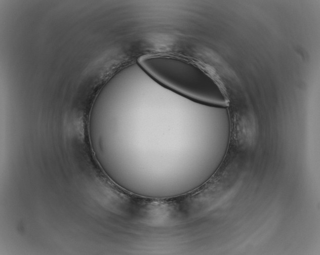 X0000112500562200908171312