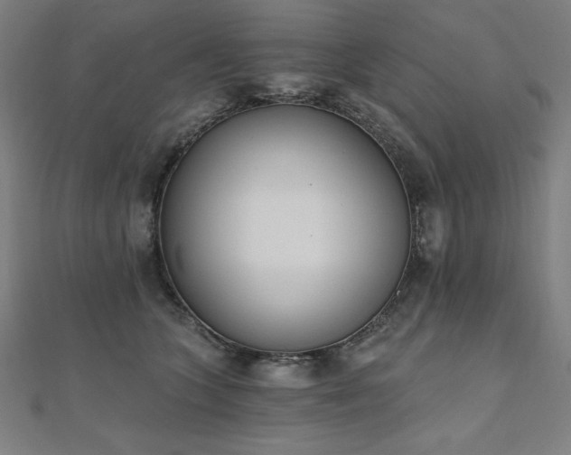 X0000112500563200908171312