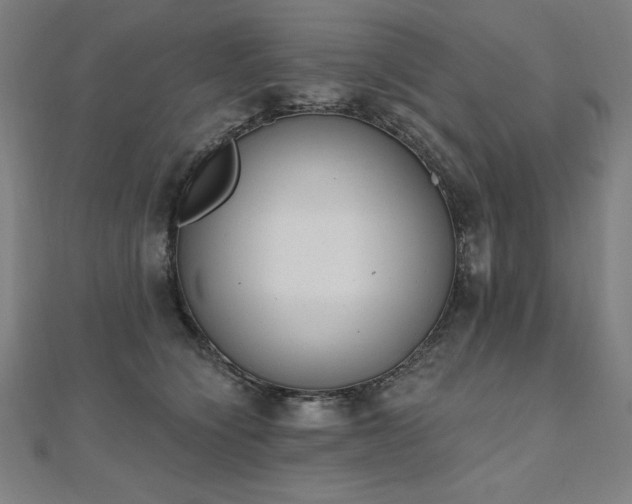 X0000112500564200908171312