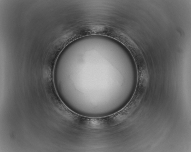 X0000112500565200908171312