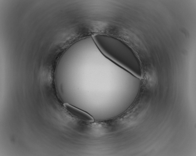 X0000112500566200908171312