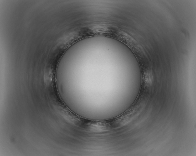 X0000112500567200908171312