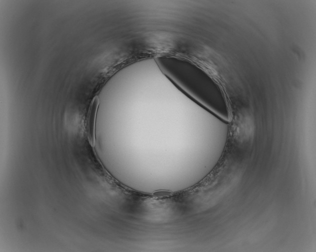 X0000112500568200908171312