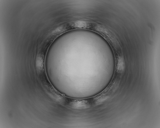 X0000112500569200908171312