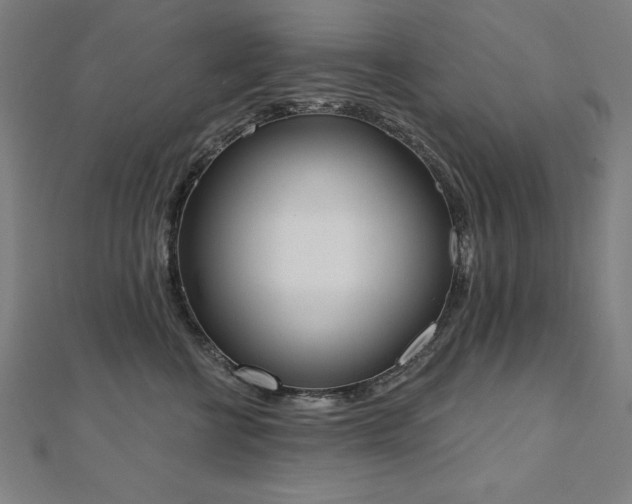 X0000112500570200908171312