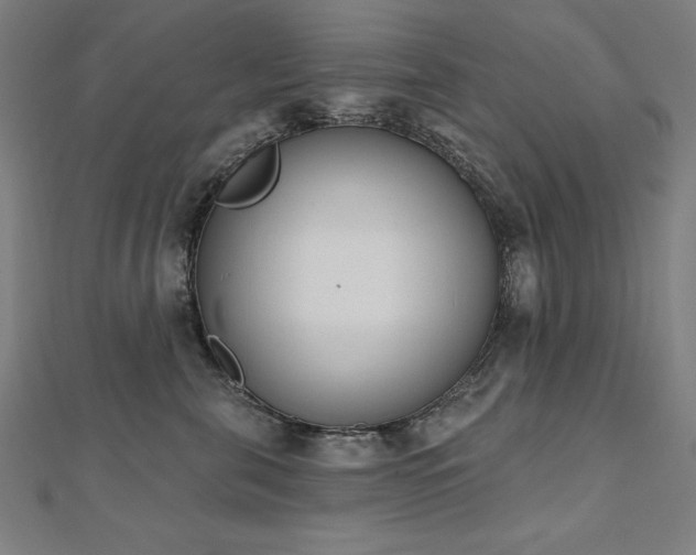 X0000112500571200908171312