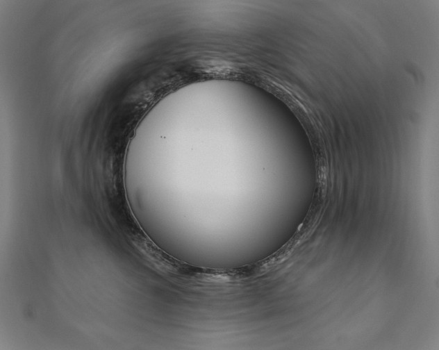 X0000112500572200908171312