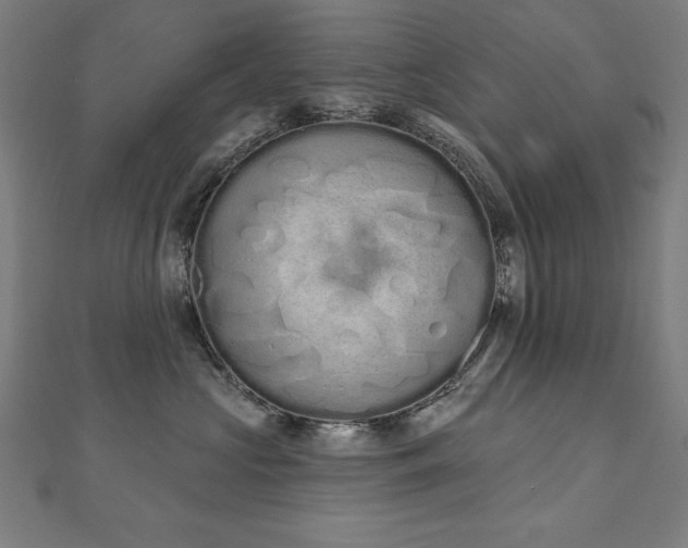 X0000112500573200908171312