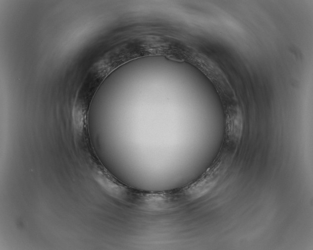 X0000112500574200908171312