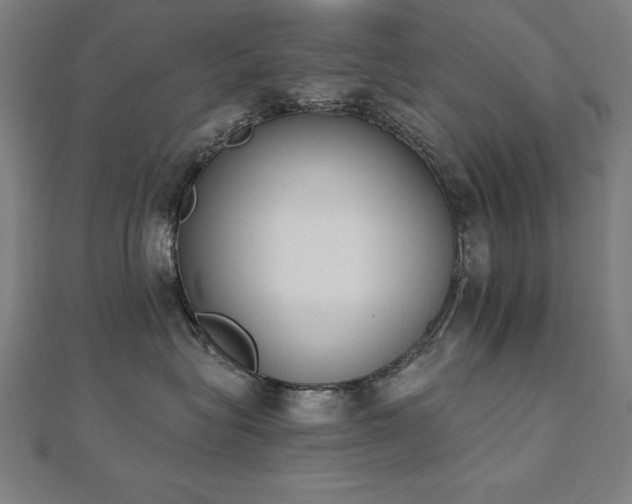 X0000112500575200908171312