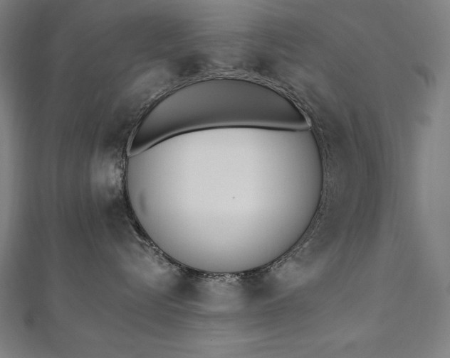 X0000112500576200908171312