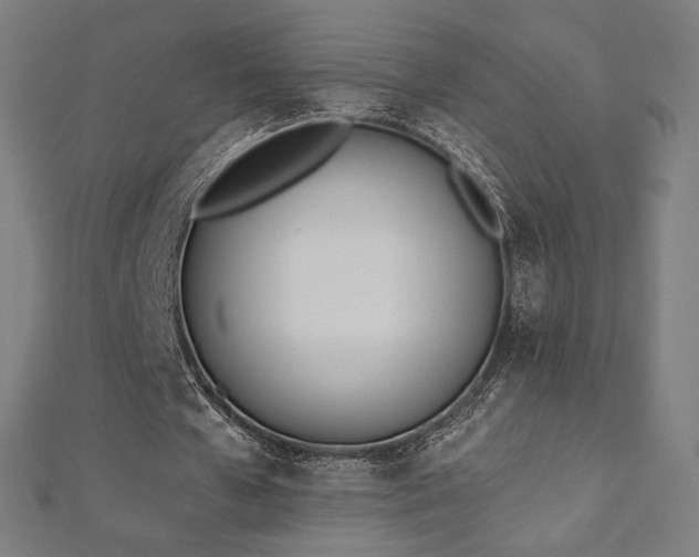 X0000112500577200908171311